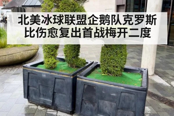 北美冰球联盟企鹅队克罗斯比伤愈复出首战梅开二度